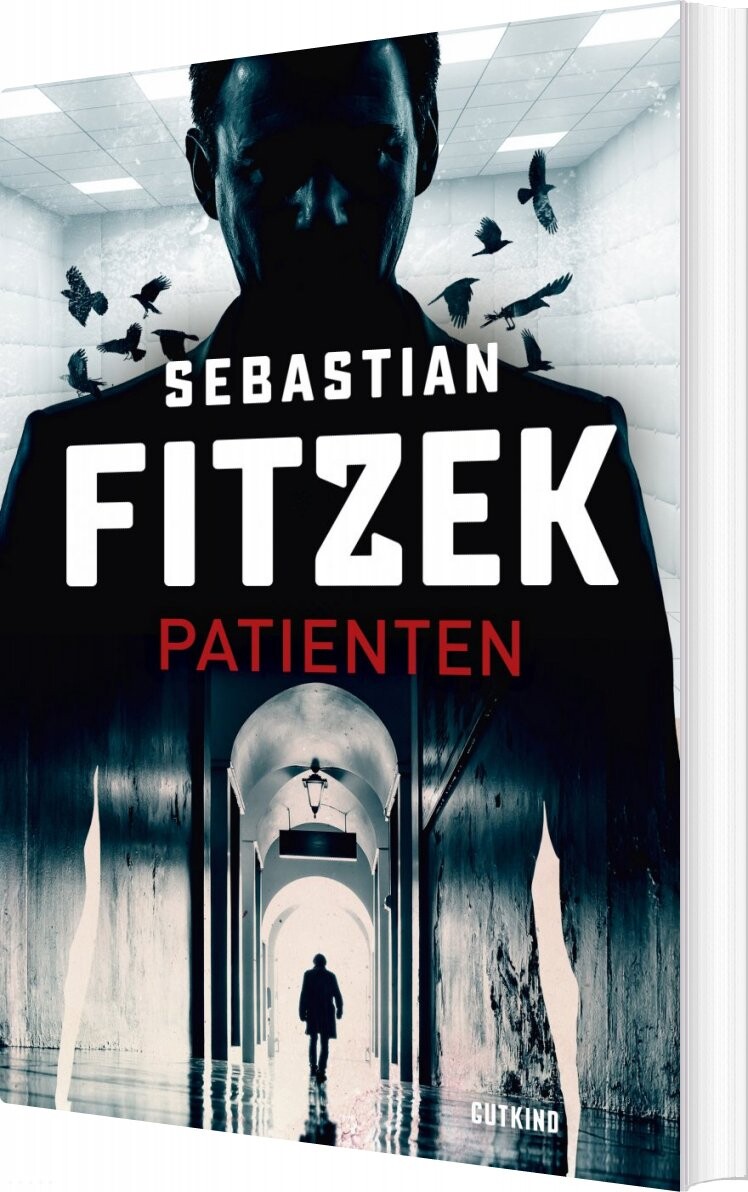 Patienten   Sebastian Fitzek   Bog