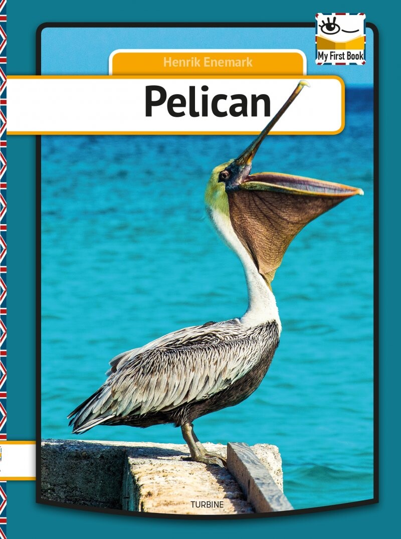 Pelican   My First Book   Henrik Enemark   Bog