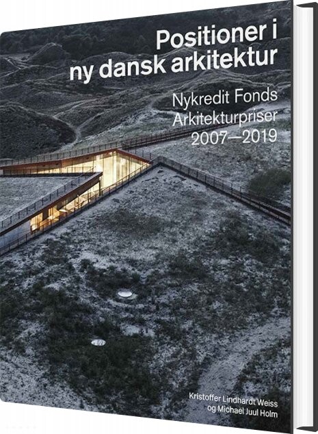 Positioner I Ny Dansk Arkitektur   Kristoffer Lindhardt Weiss   Bog