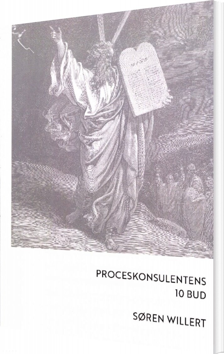 Proceskonsulentens 10 Bud   Søren Willert   Bog