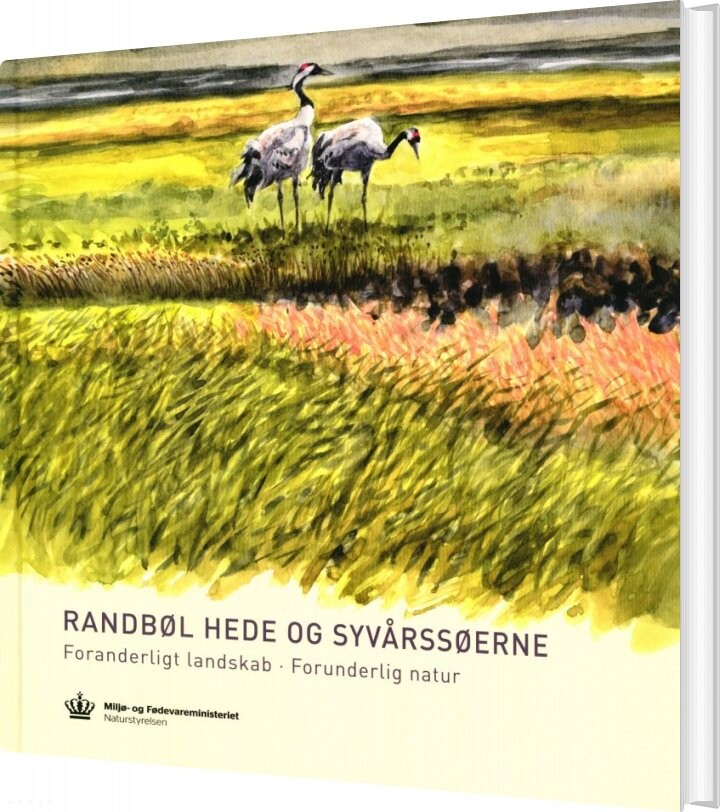 Randbøl Hede Og Syvårssøerne Gert Hougaard Rasmussen Bog
