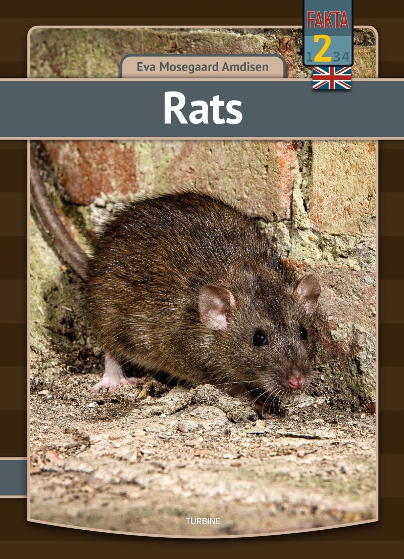 Rats   Eva Mosegaard Amdisen   English Book
