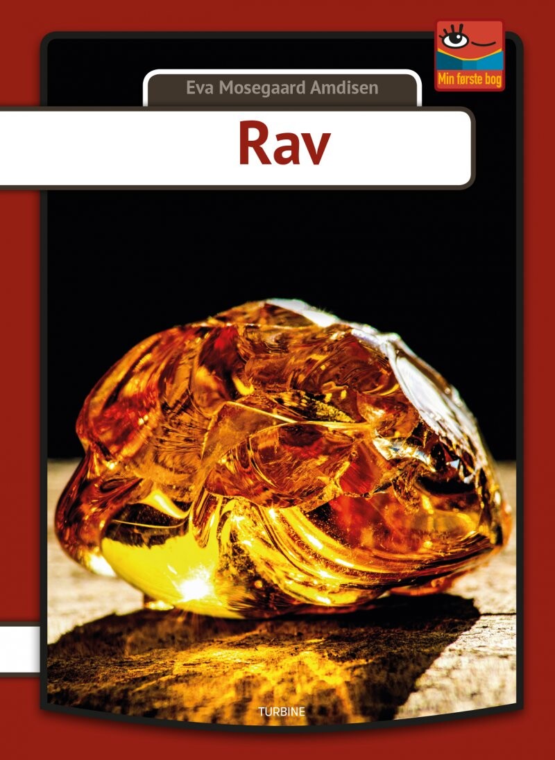 Rav   Eva Mosegaard Amdisen   Bog