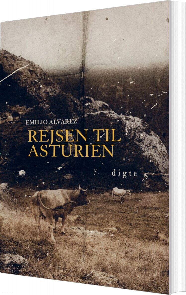 Rejsen Til Asturien   Emilio Alvarez   Bog