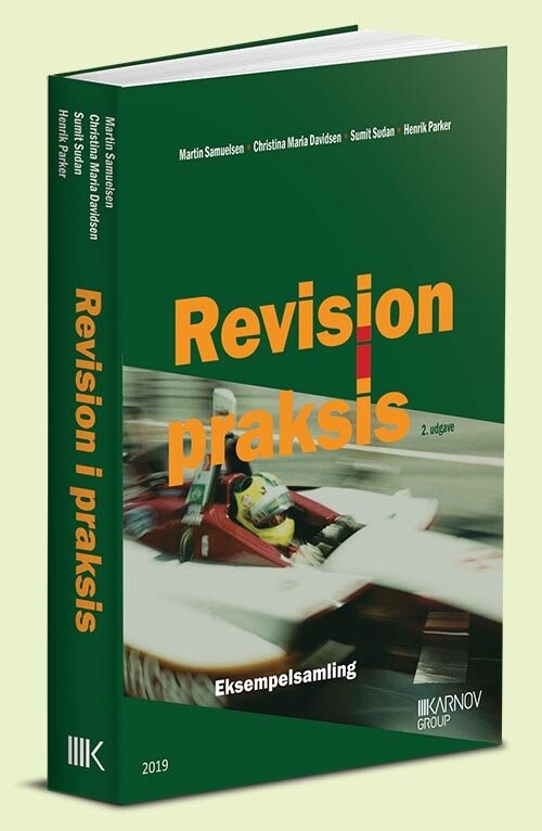 Revision I Praksis   Eksempelsamling   Christina Maria Davidsen   Bog