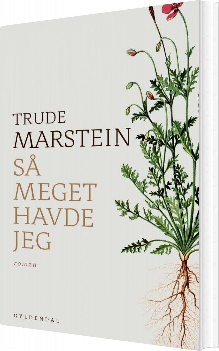 Så Meget Havde Jeg Trude Marstein Bog