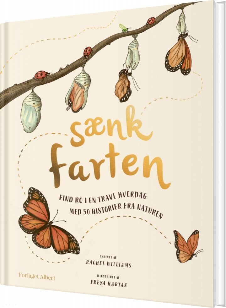 Sænk Farten   Rachel Williams   Bog