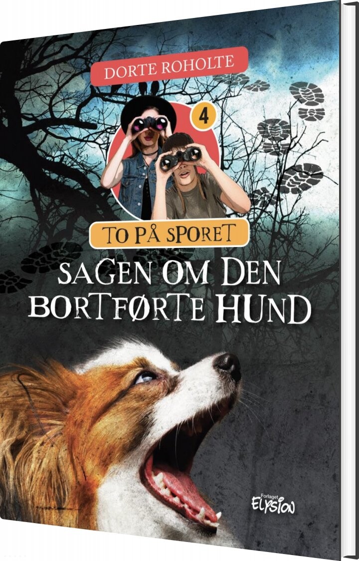Sagen Om Den Bortførte Hund Dorte Roholte Bog