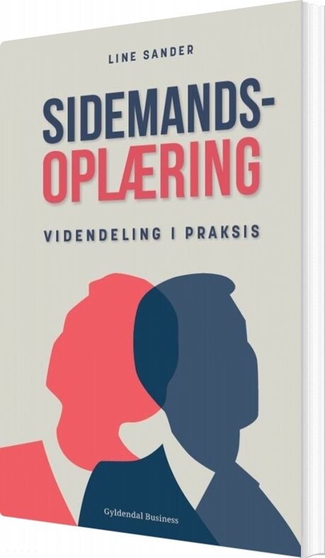 Sidemandsoplæring Line Sander Bog