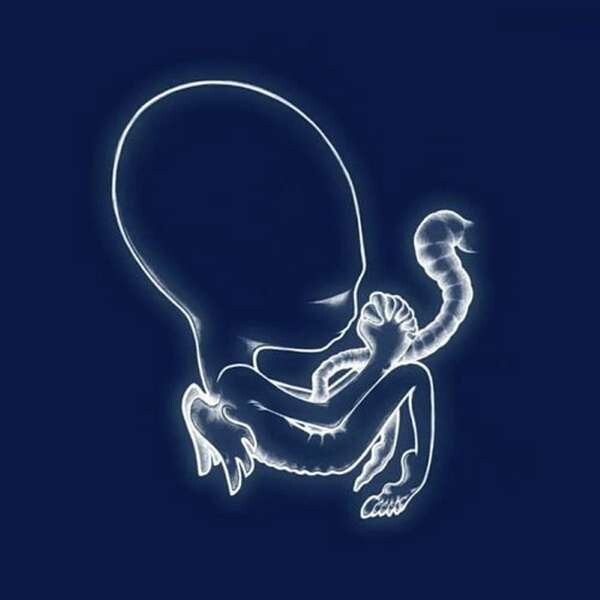 Sigur Ros Agætis Byrjun Vinyl Lp