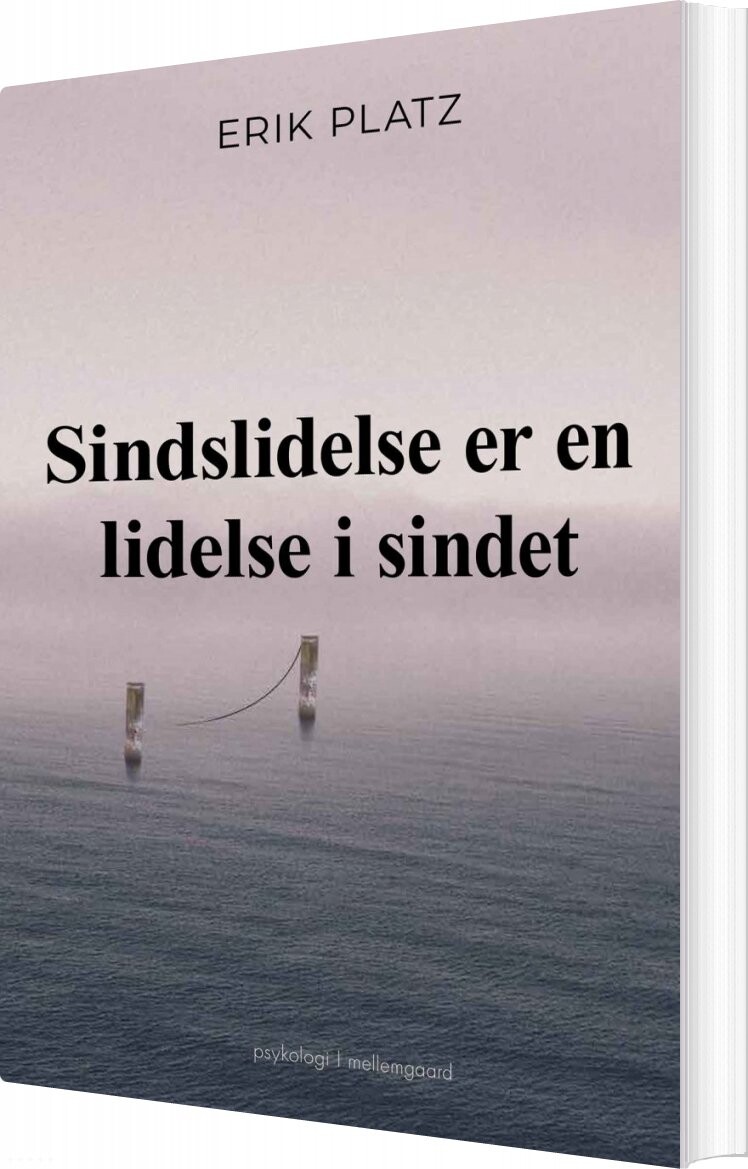 Sindslidelse Er En Lidelse I Sindet   Erik Platz   Bog