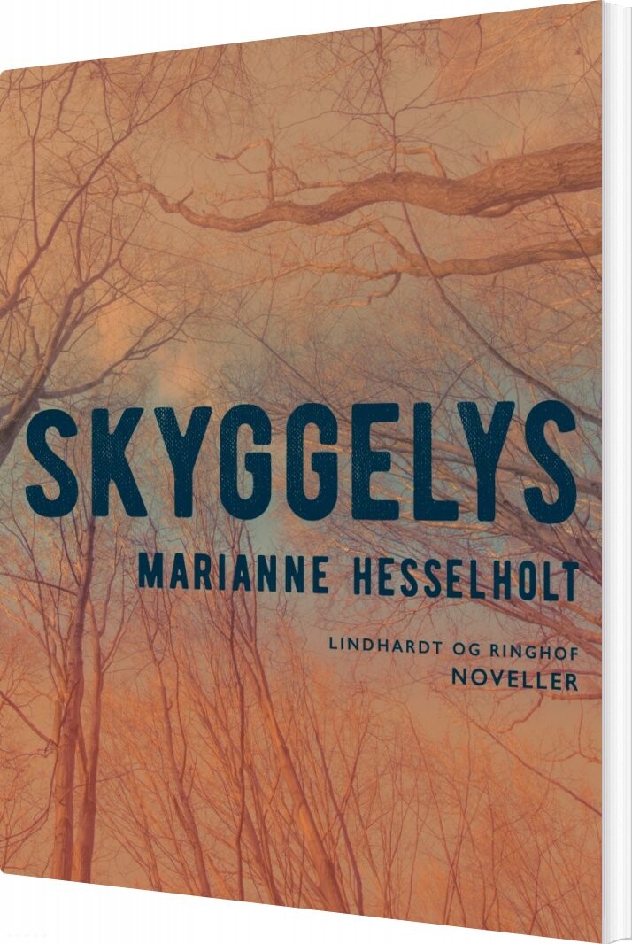 Skyggelys   Marianne Hesselholt   Bog