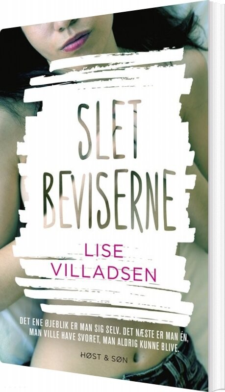 Slet Beviserne   Lise Villadsen   Bog