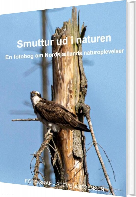 Smuttur Ud I Naturen Steve Jørgensen Bog