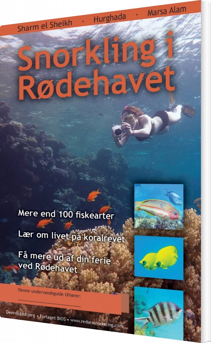 Snorkling I Rødehavet   Dennis Lisbjerg   Bog