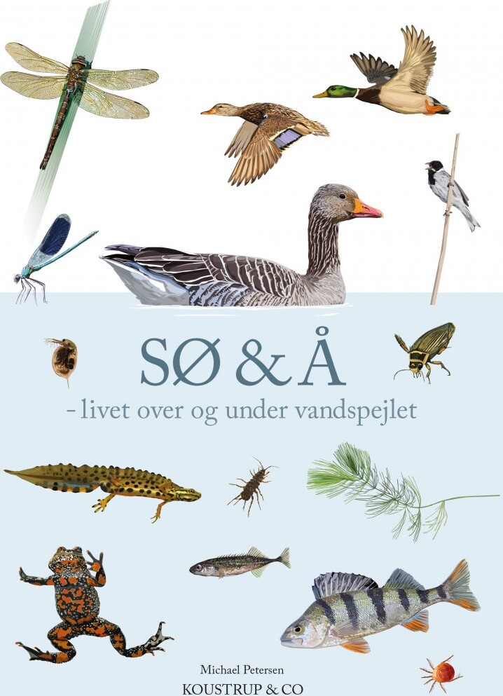 Sø   å   Michael Petersen   Bog