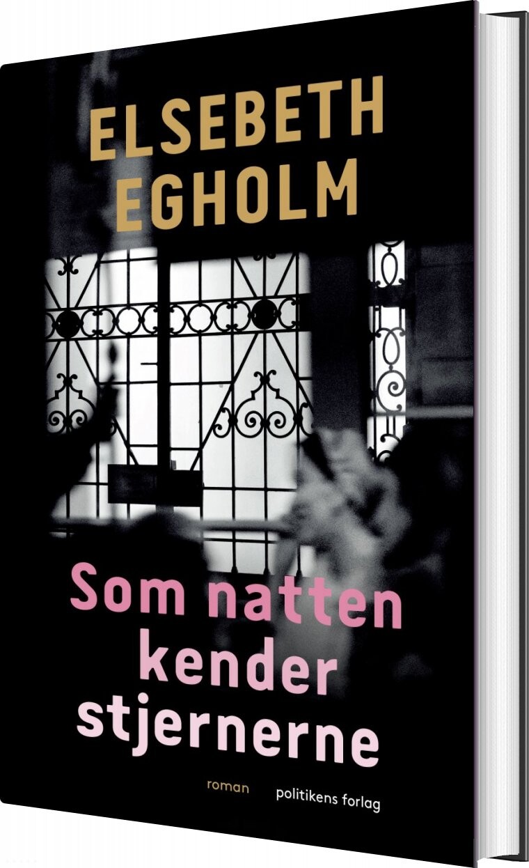 Som Natten Kender Stjernerne   Elsebeth Egholm   Bog