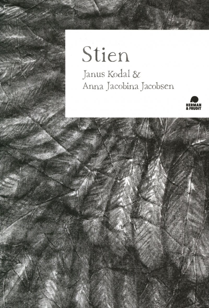 Stien   Janus Kodal   Bog