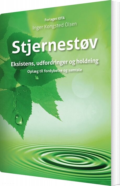 Stjernestøv   Inger Kongsted Olsen   Bog