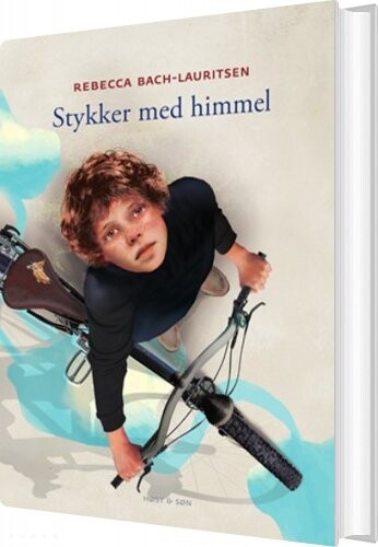 Stykker Med Himmel Rebecca Bach Lauritsen Bog