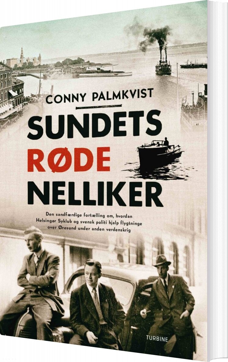 Sundets Røde Nelliker   Conny Palmkvist   Bog