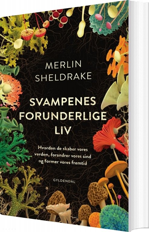 Svampenes Forunderlige Liv Merlin Sheldrake Bog