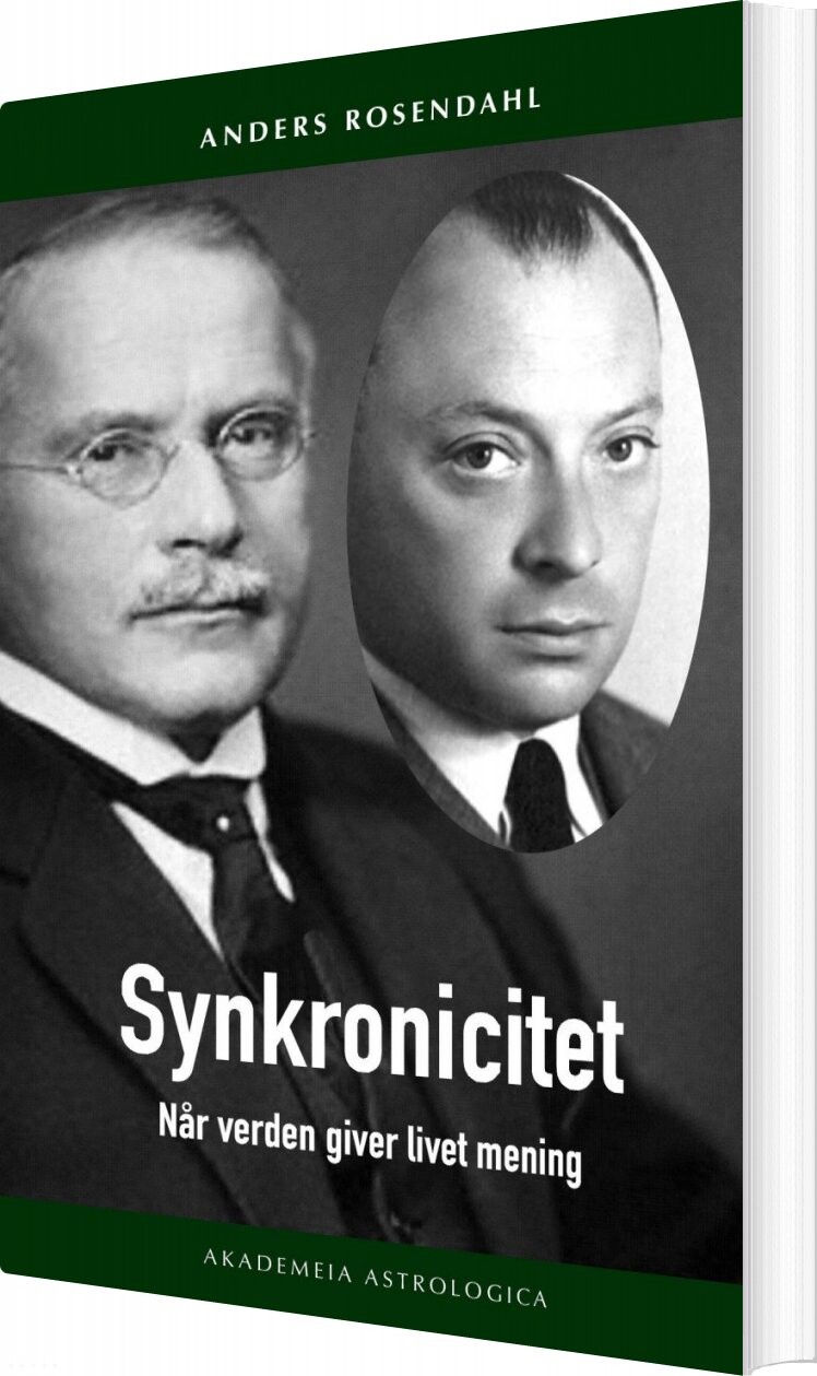 Synkronicitet   Anders Rosendahl   Bog