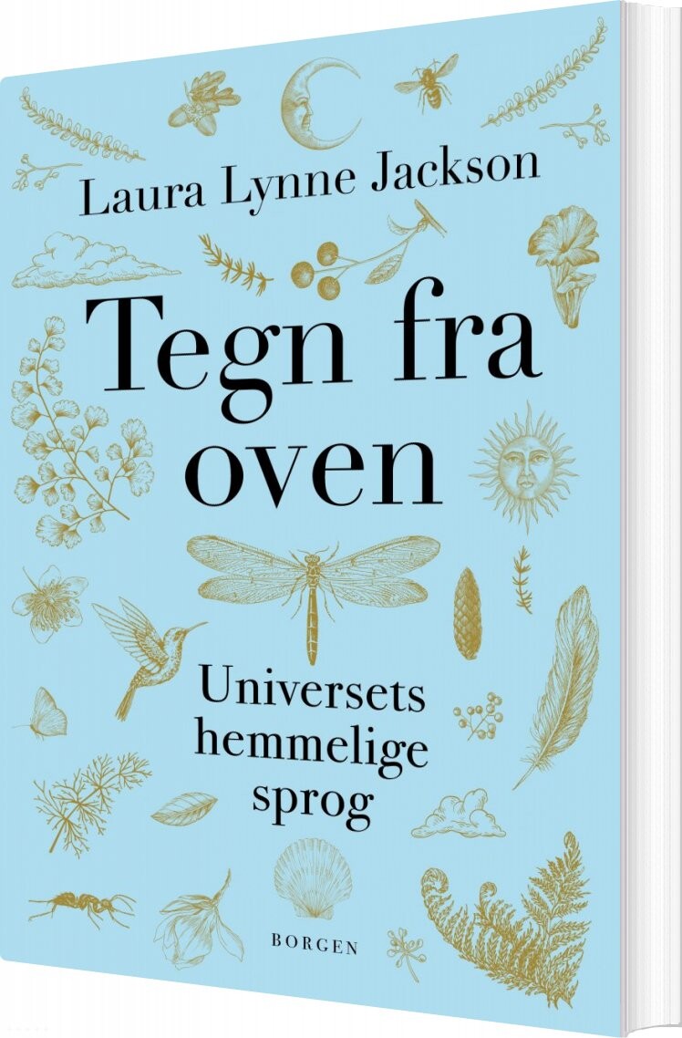 Tegn Fra Oven   Laura Lynne Jackson   Bog