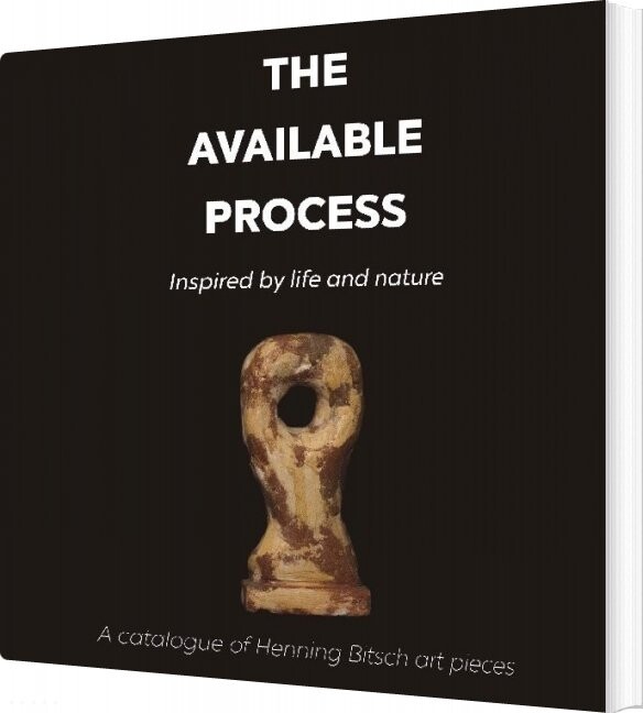 The Available Process   Henning Bitsch   English Book