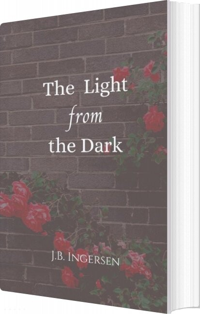 The Light From The Dark   J B  Ingersen   English Book