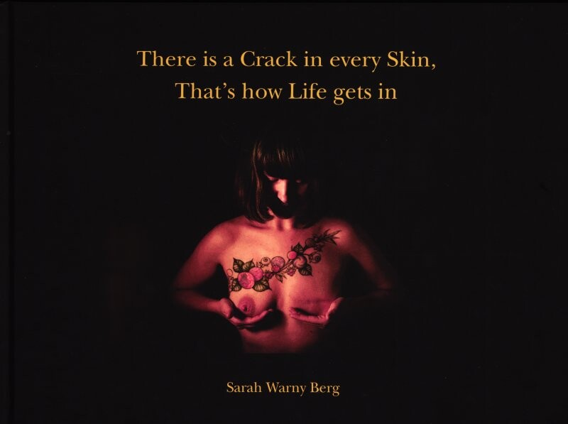 There Is A Crack In Ever Skin  That S How Life Gets In   Sarah Warny Berg   Bog