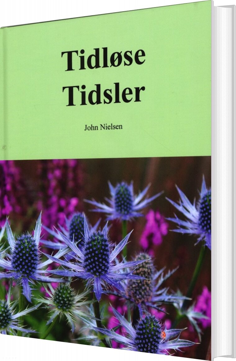 Tidløse Tidsler   John Nielsen   Bog