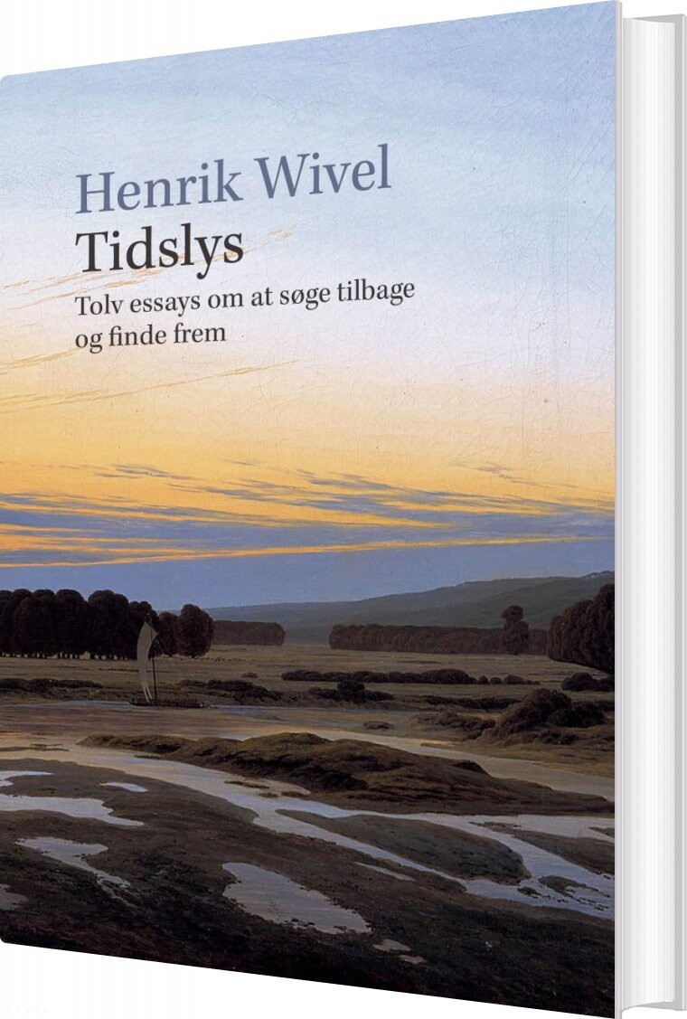 Tidslys   Henrik Wivel   Bog