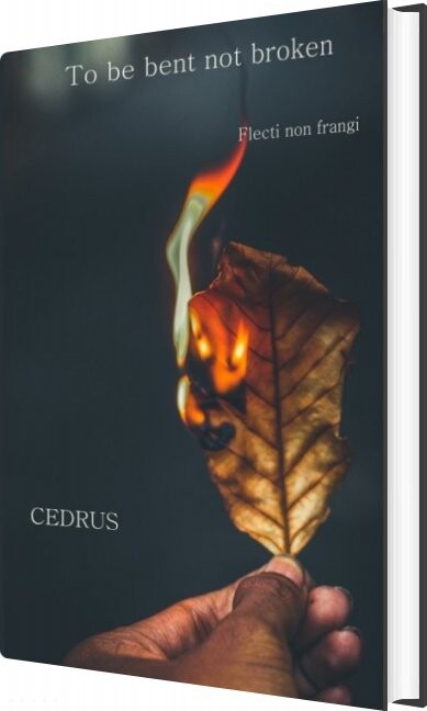 To Be Bent  Not Broken   Cedrus Poetry   English Book
