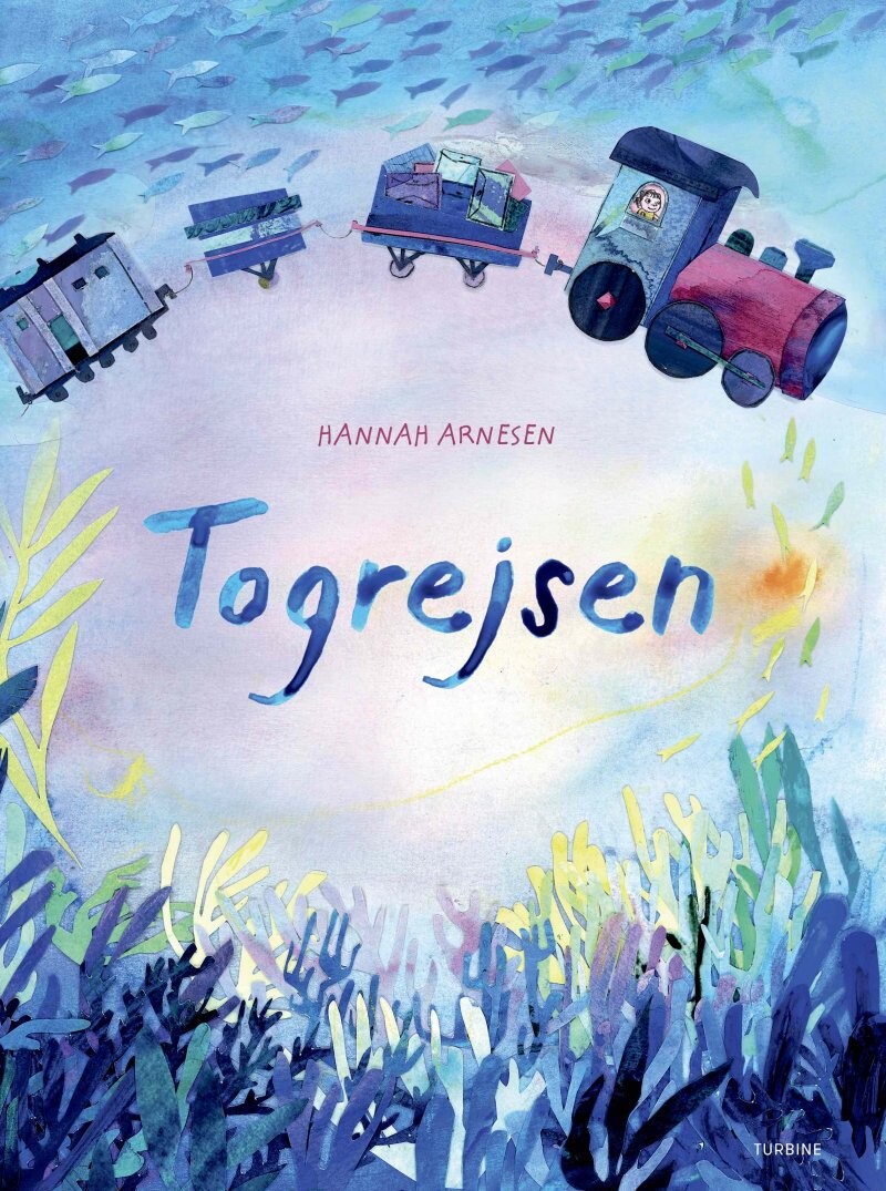 Togrejsen   Hannah Arnesen   Bog