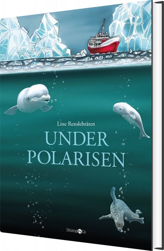Under Polarisen Line Renslebråten Bog