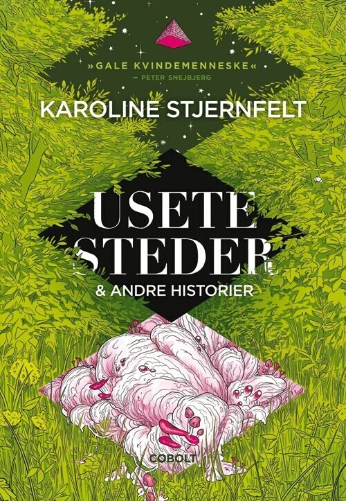 Usete Steder   Karoline Stjernfelt   Bog