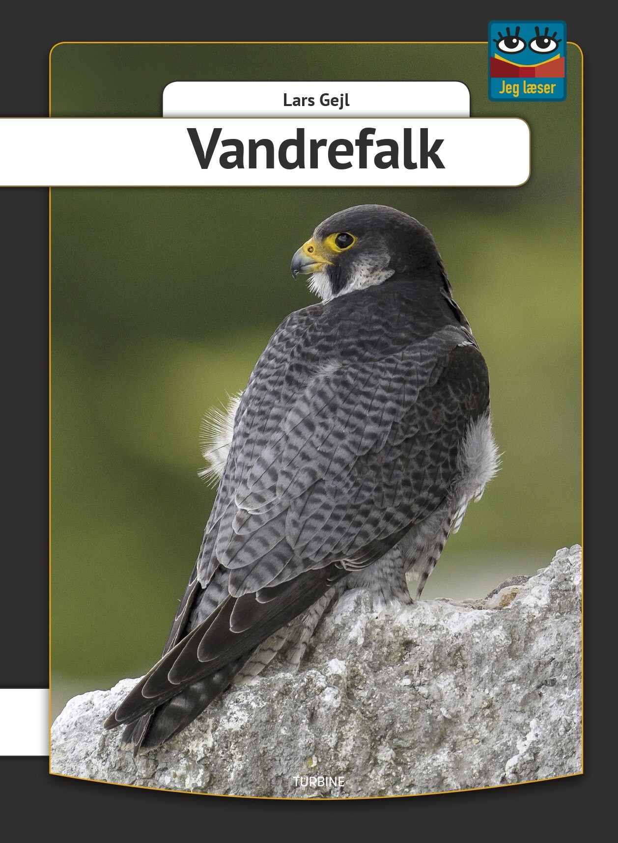 Vandrefalk   Lars Gejl   Bog