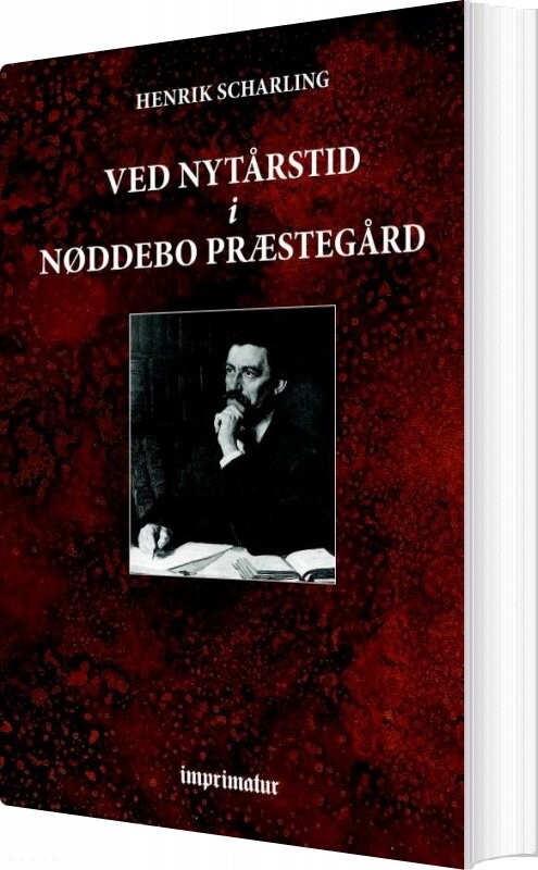 Ved Nytårstid I Nøddebo Præstegård   Henrik Scharling   Bog