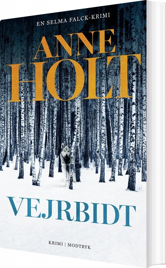 Vejrbidt   Anne Holt   Bog