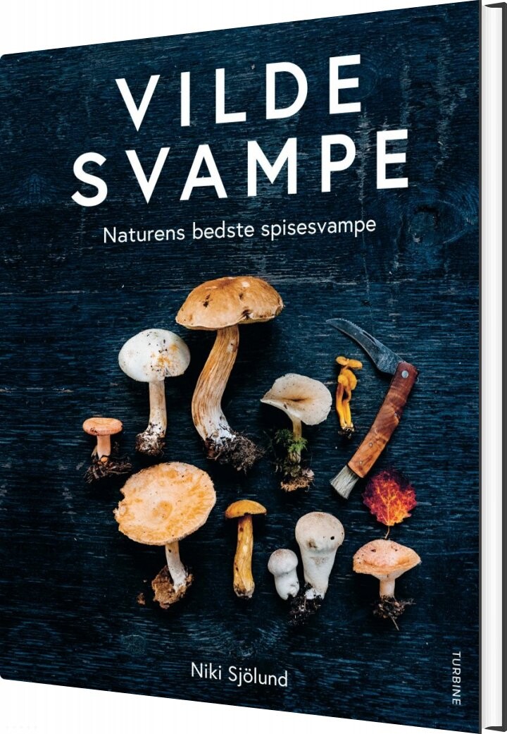 Vilde Svampe   Niki Sj? Lund   Bog
