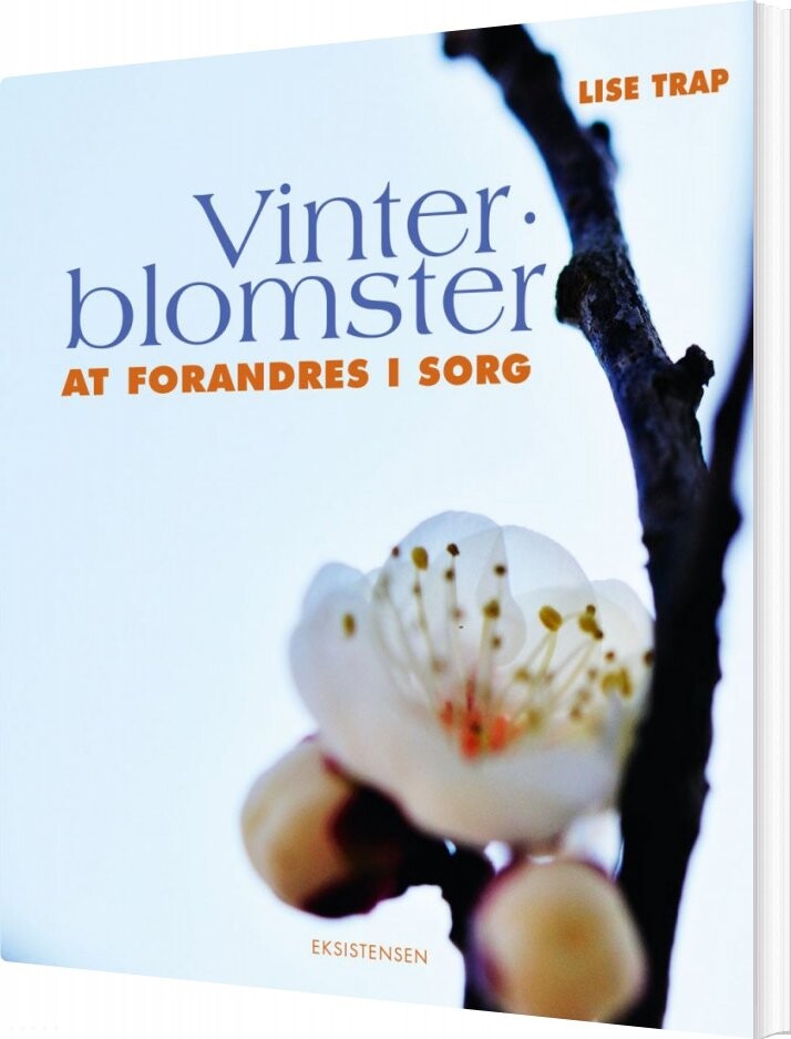 Vinterblomster   Lise Trap   Bog