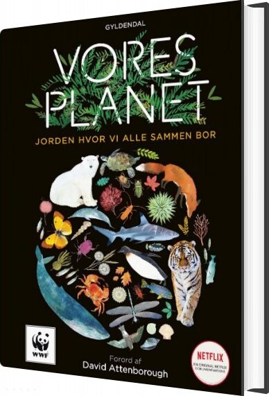Vores Planet Matt Whyman Bog