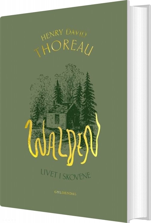 Walden Henry David Thoreau Bog