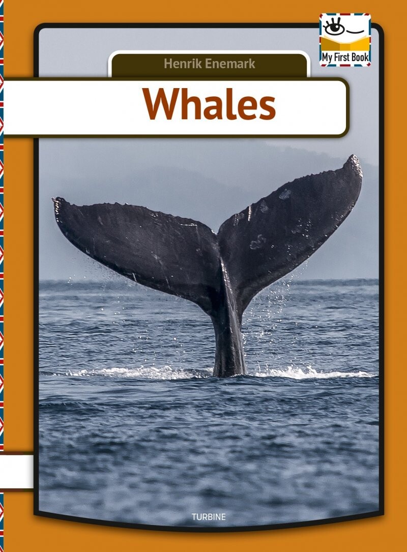 Whales   Henrik Enemark   English Book