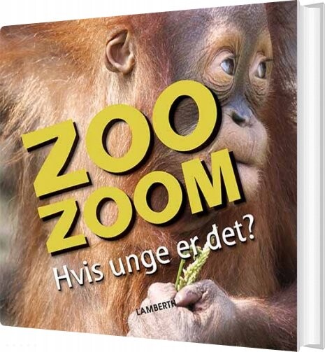 Zoo Zoom   Hvis Unge Er Det    Christa P? Ppelmann   Bog