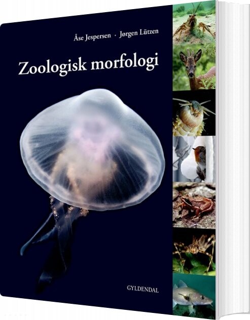 Zoologisk Morfologi   åse Jespersen   Bog