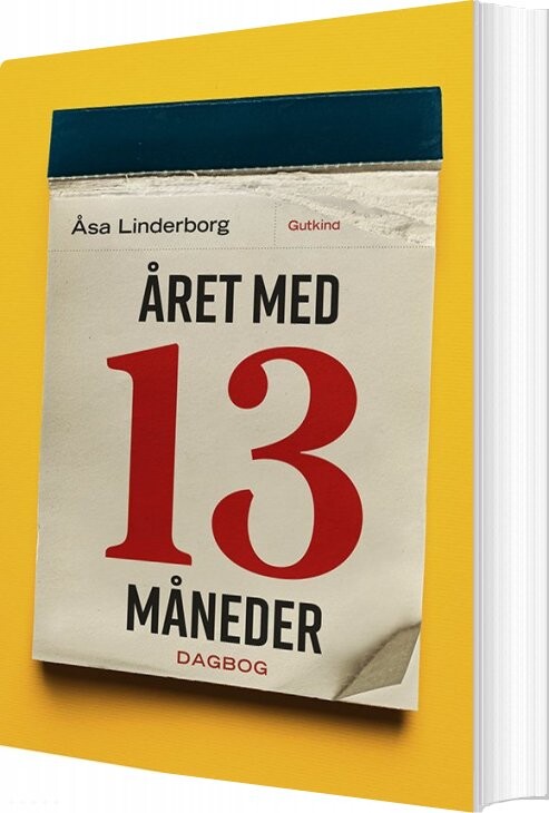 året Med 13 Måneder   åsa Linderborg   Bog