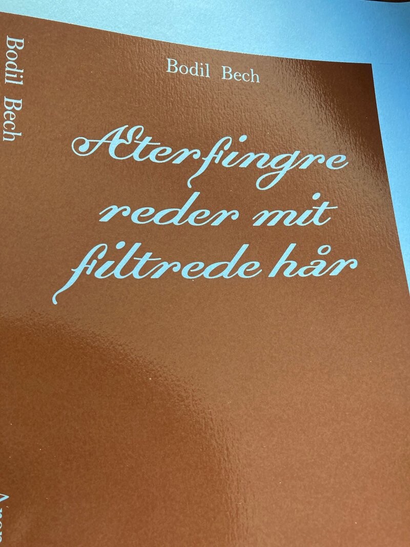 æterfingre Reder Mit Filtrede Hår   Bodil Bech   Bog