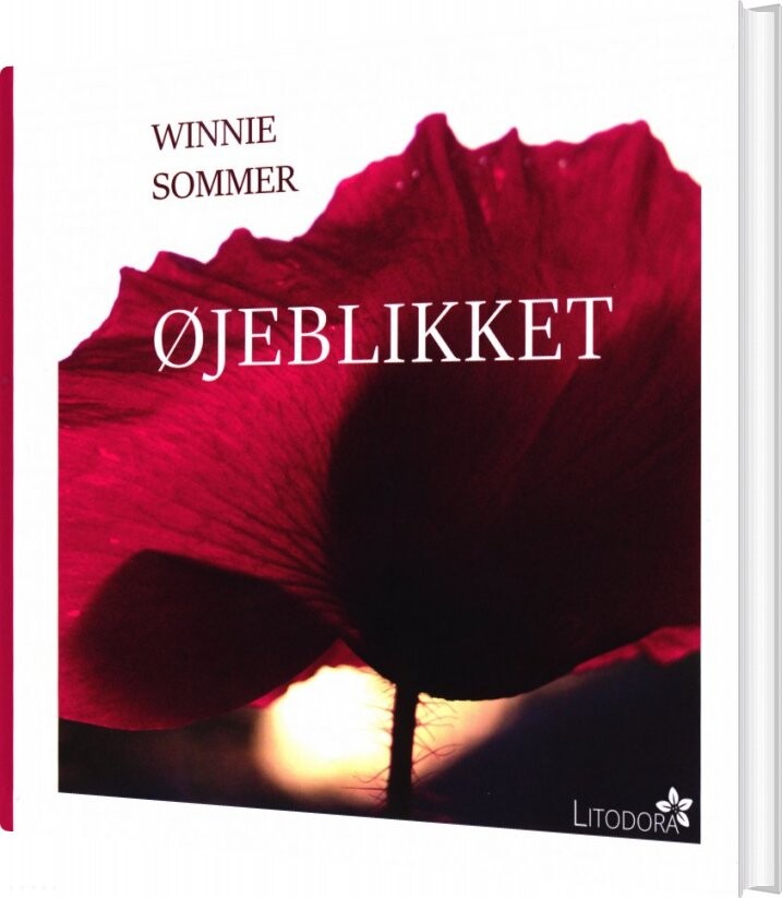 øjeblikket   Winnie Sommer   Bog